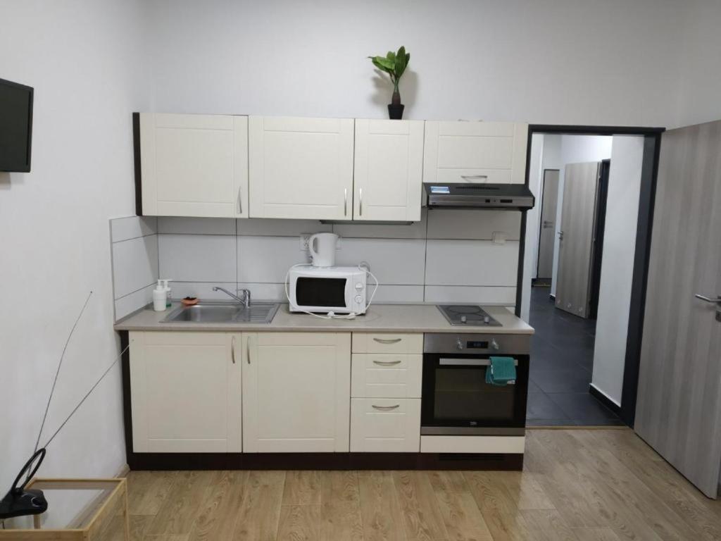 Apartments Near The Center With Privat Parking Brno Exterior foto