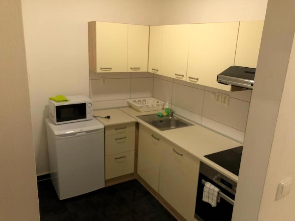 Apartments Near The Center With Privat Parking Brno Exterior foto
